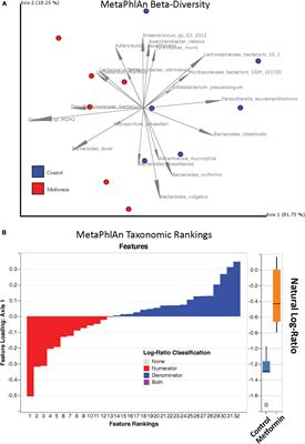 Short-Term Metformin Treatment Enriches Bacteroides dorei in an Obese Liver Steatosis Zucker Rat Model